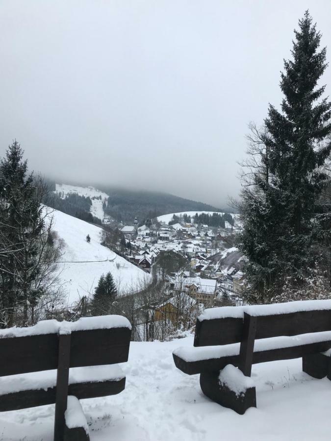 Haus Georgenhoehe Wildemann Esterno foto